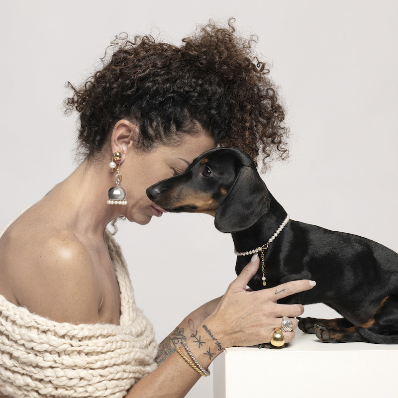 Pet Collar